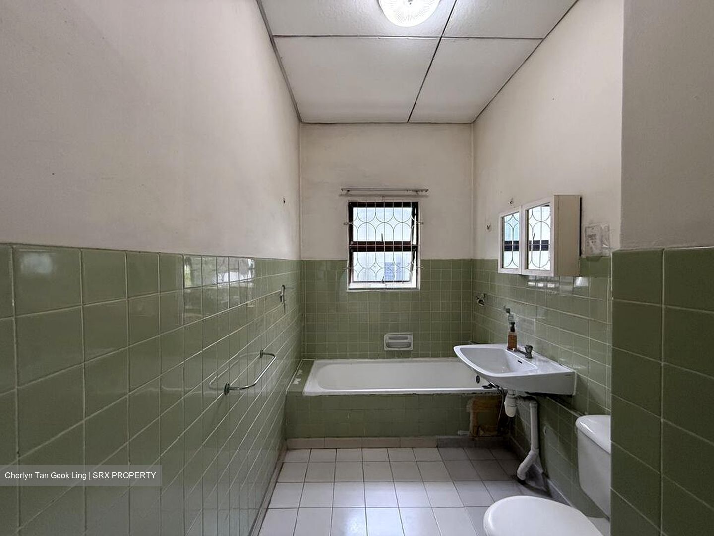 Clementi Park (D21), Detached #606443401